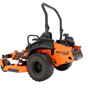 RogueMain0019_resized